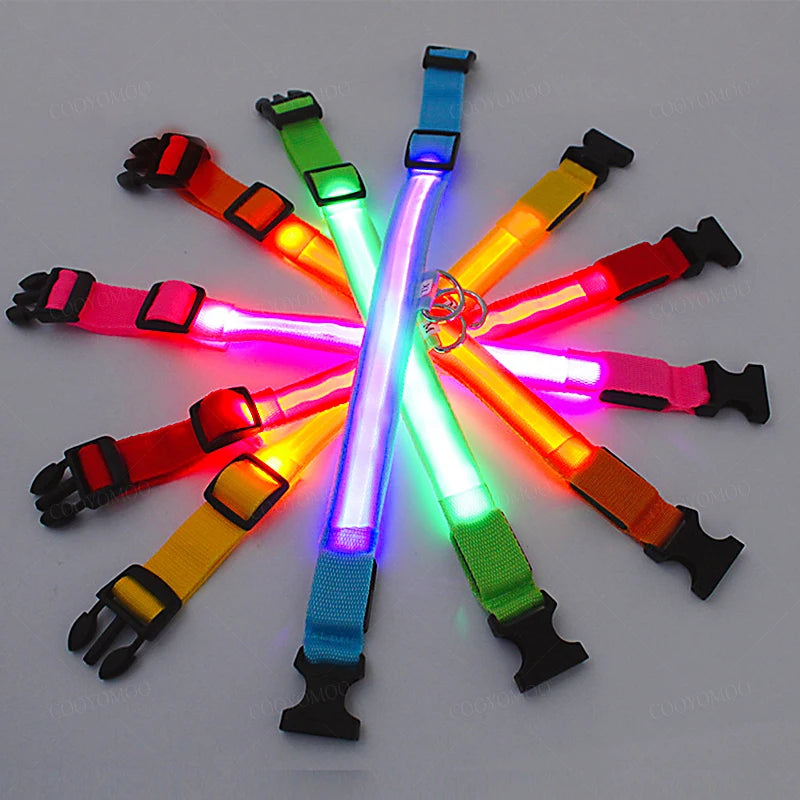 Coleira LED Recarga USB para Cães Antiperda Noturna