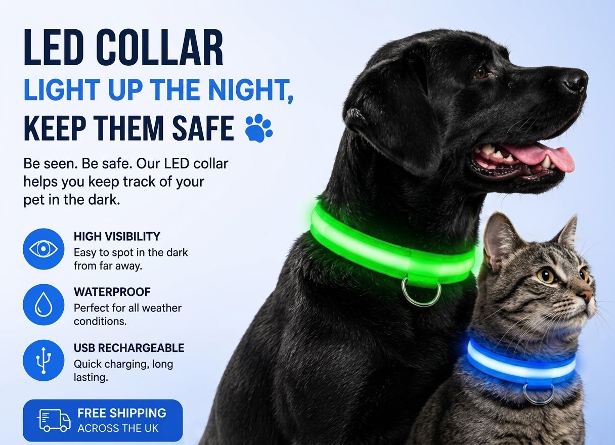 Coleira LED Recarga USB para Cães Antiperda Noturna