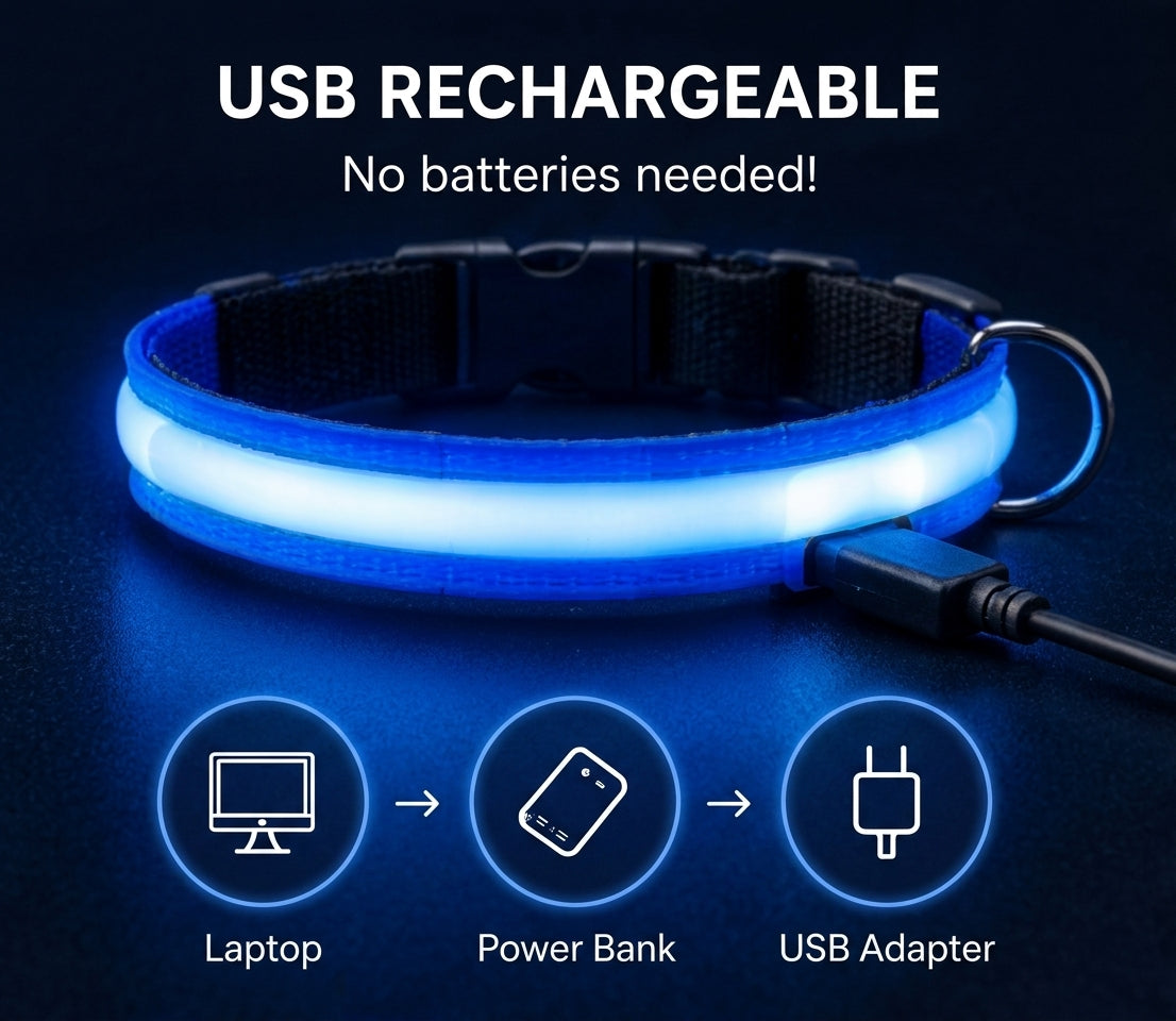 Coleira LED Recarga USB para Cães Antiperda Noturna