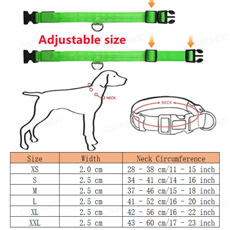 Coleira LED Recarga USB para Cães Antiperda Noturna