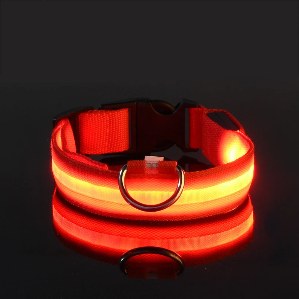 Red Color LED Light-Up Dog Collar – Nylon Night Safety Collar
