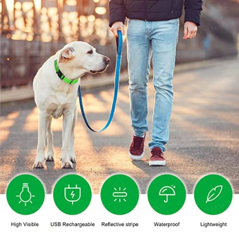 Coleira LED Recarga USB para Cães Antiperda Noturna