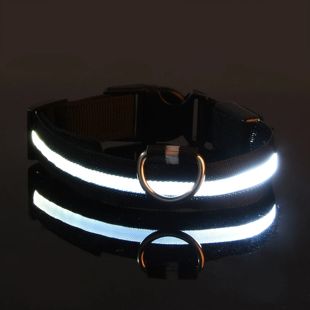 black Color LED Light-Up Dog Collar – Nylon Night Safety Collar