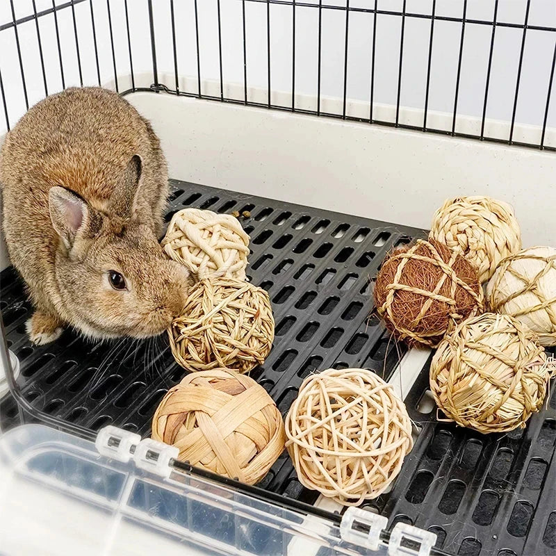 Wooden Chew Toys For Small Pets – Roller, Bell & Dumbbell