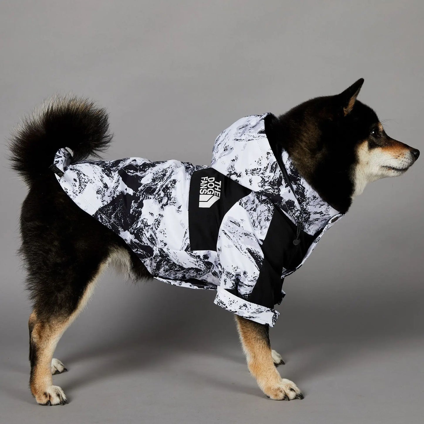 MULTI Cor Capa de Chuva para Cães com Capuz Impermeável