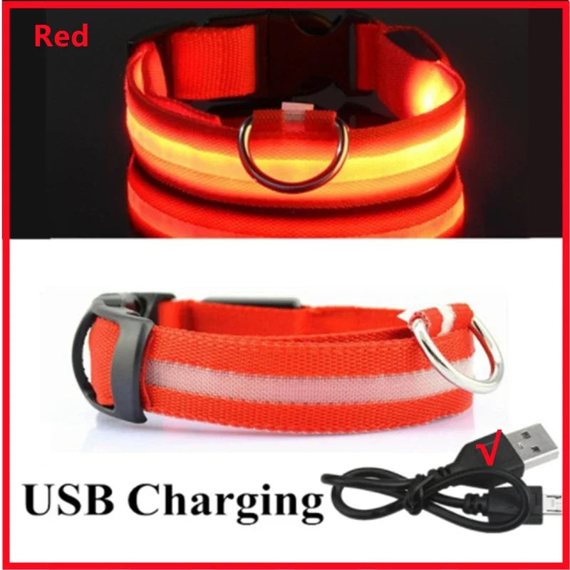 Carregamento USB Vermelho Cor Coleira LED Recarga USB para Cães Antiperda Noturna