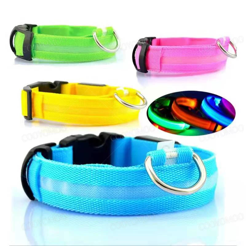 Coleira LED Recarga USB para Cães Antiperda Noturna