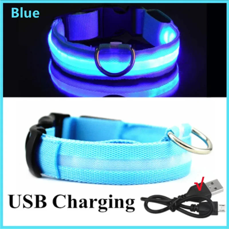 Carregamento USB Azul Cor Coleira LED Recarga USB para Cães Antiperda Noturna