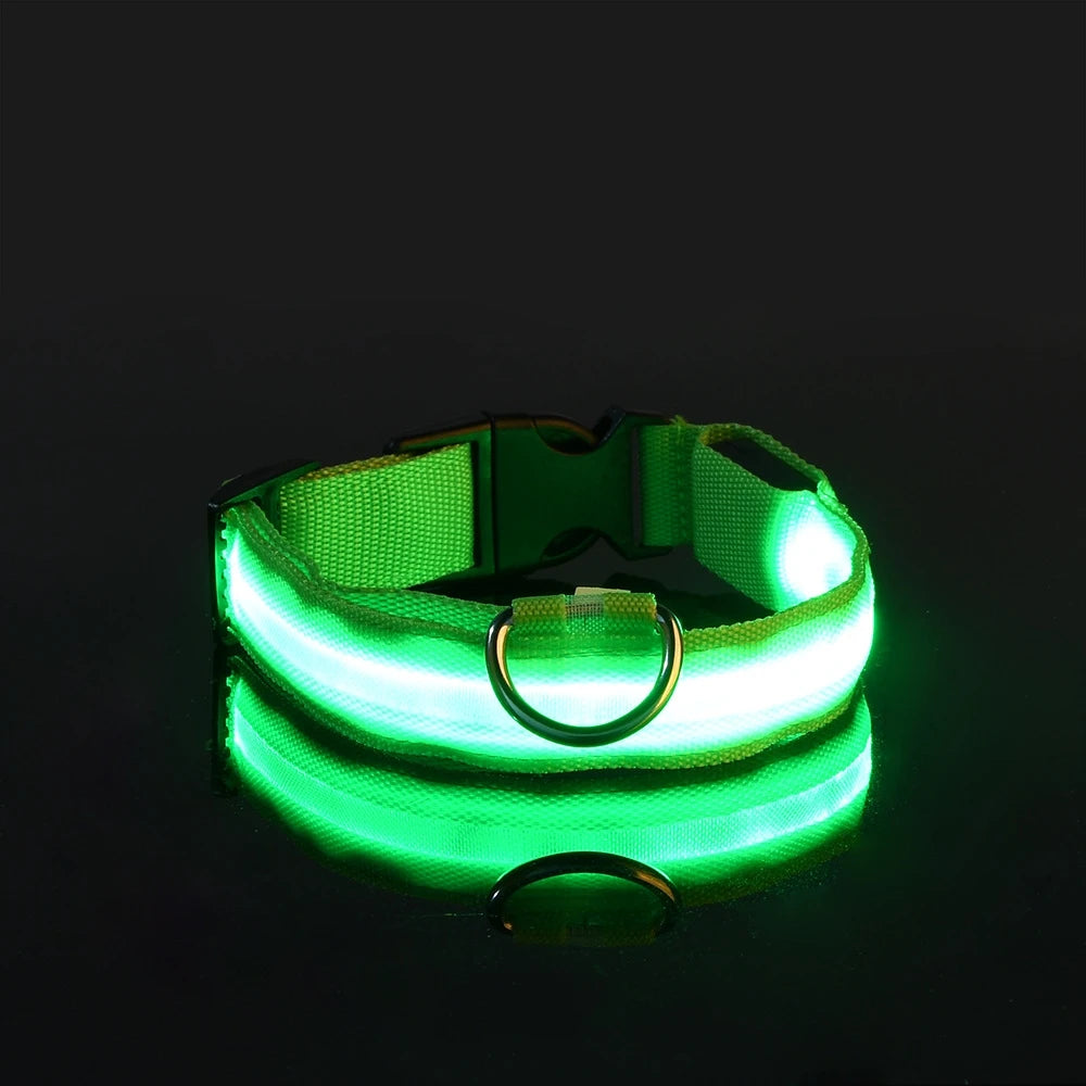 green Color LED Light-Up Dog Collar – Nylon Night Safety Collar