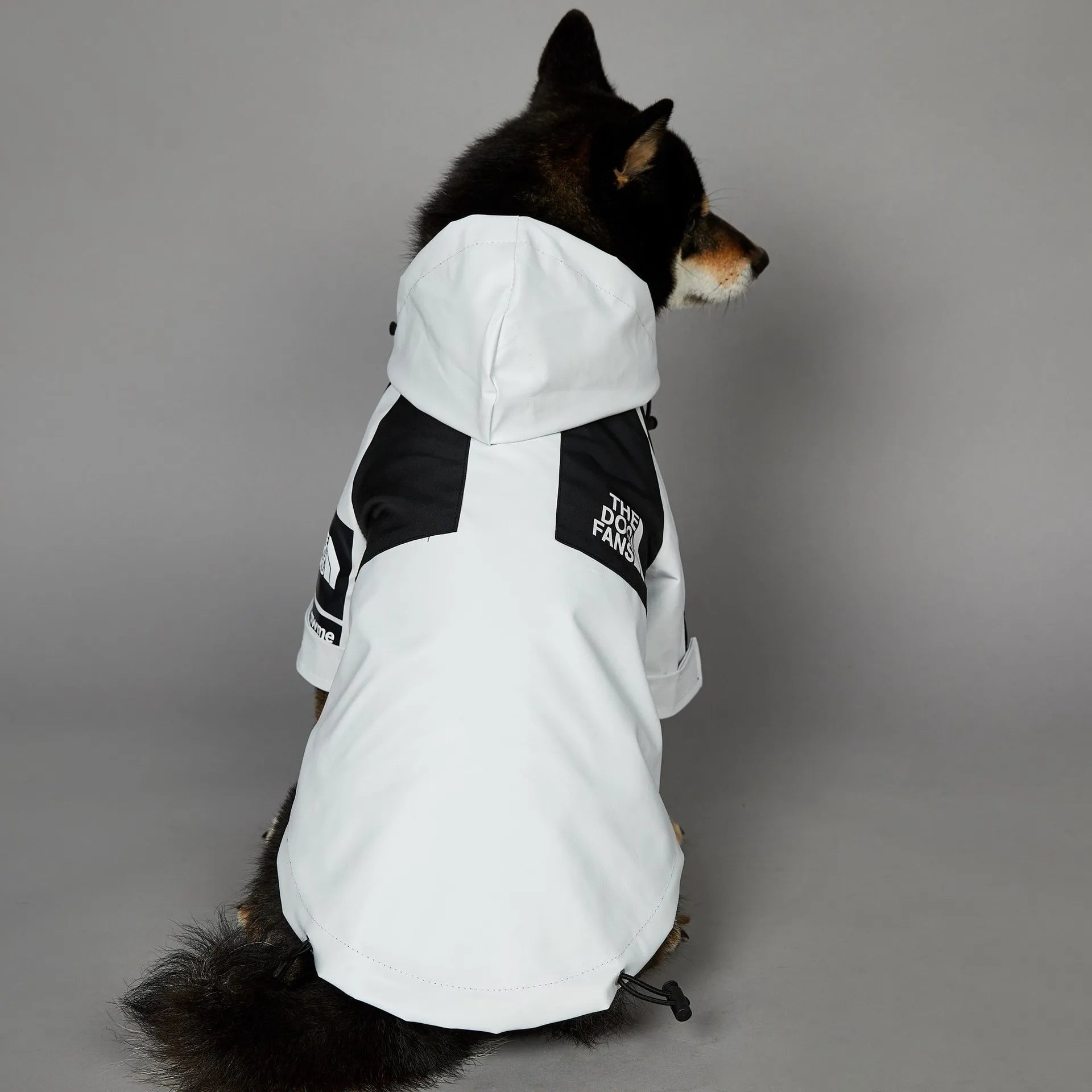 Capa de Chuva para Cães com Capuz Impermeável
