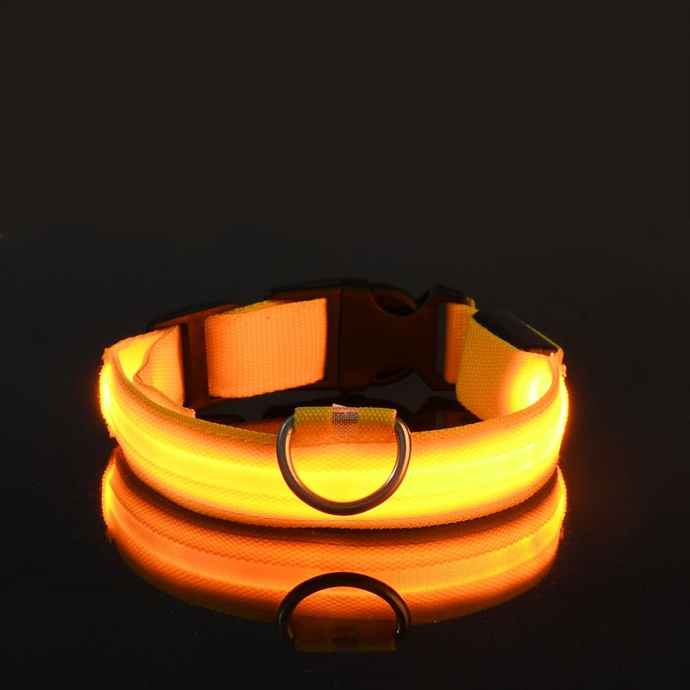YELLOW Color LED Light-Up Dog Collar – Nylon Night Safety Collar