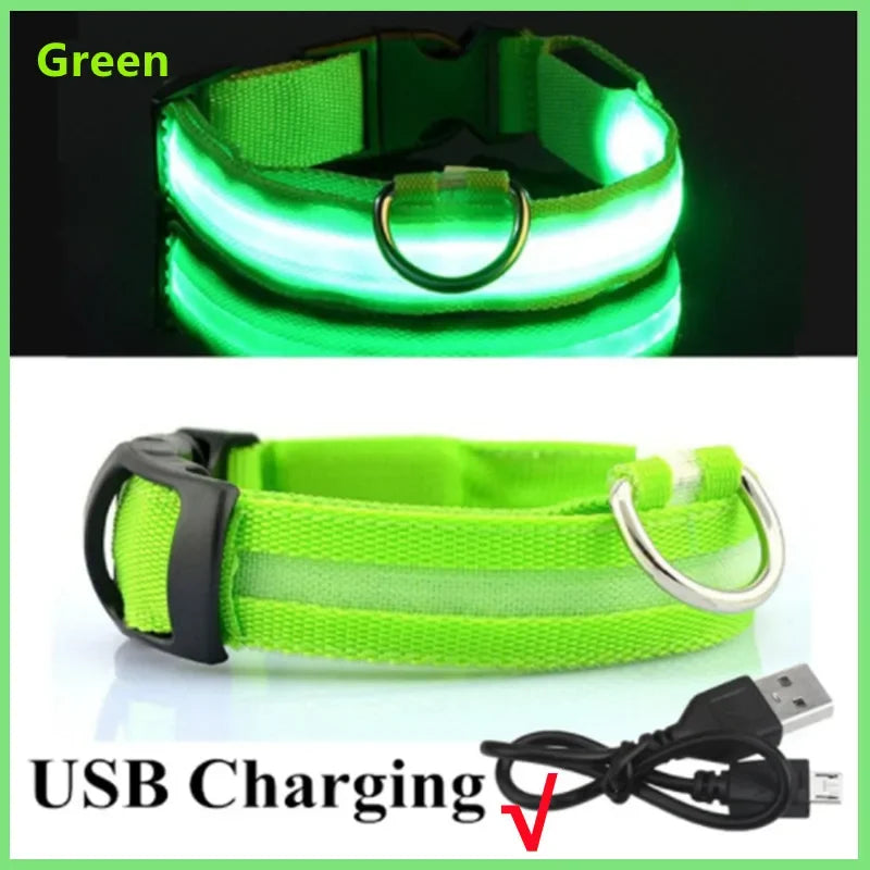 Carregamento USB Verde Cor Coleira LED Recarga USB para Cães Antiperda Noturna