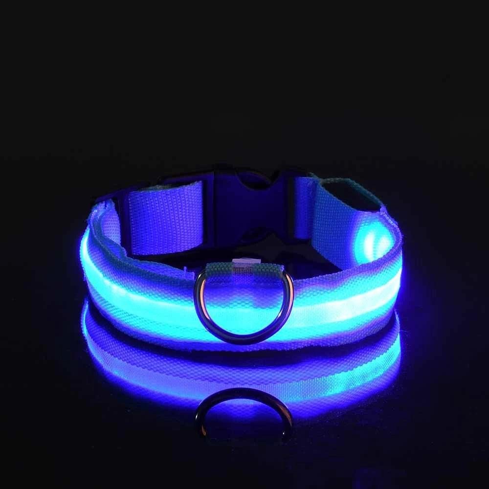 Blue Color LED Light-Up Dog Collar – Nylon Night Safety Collar