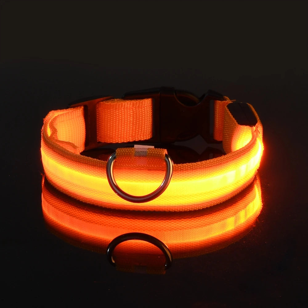 Orange Color LED Light-Up Dog Collar – Nylon Night Safety Collar