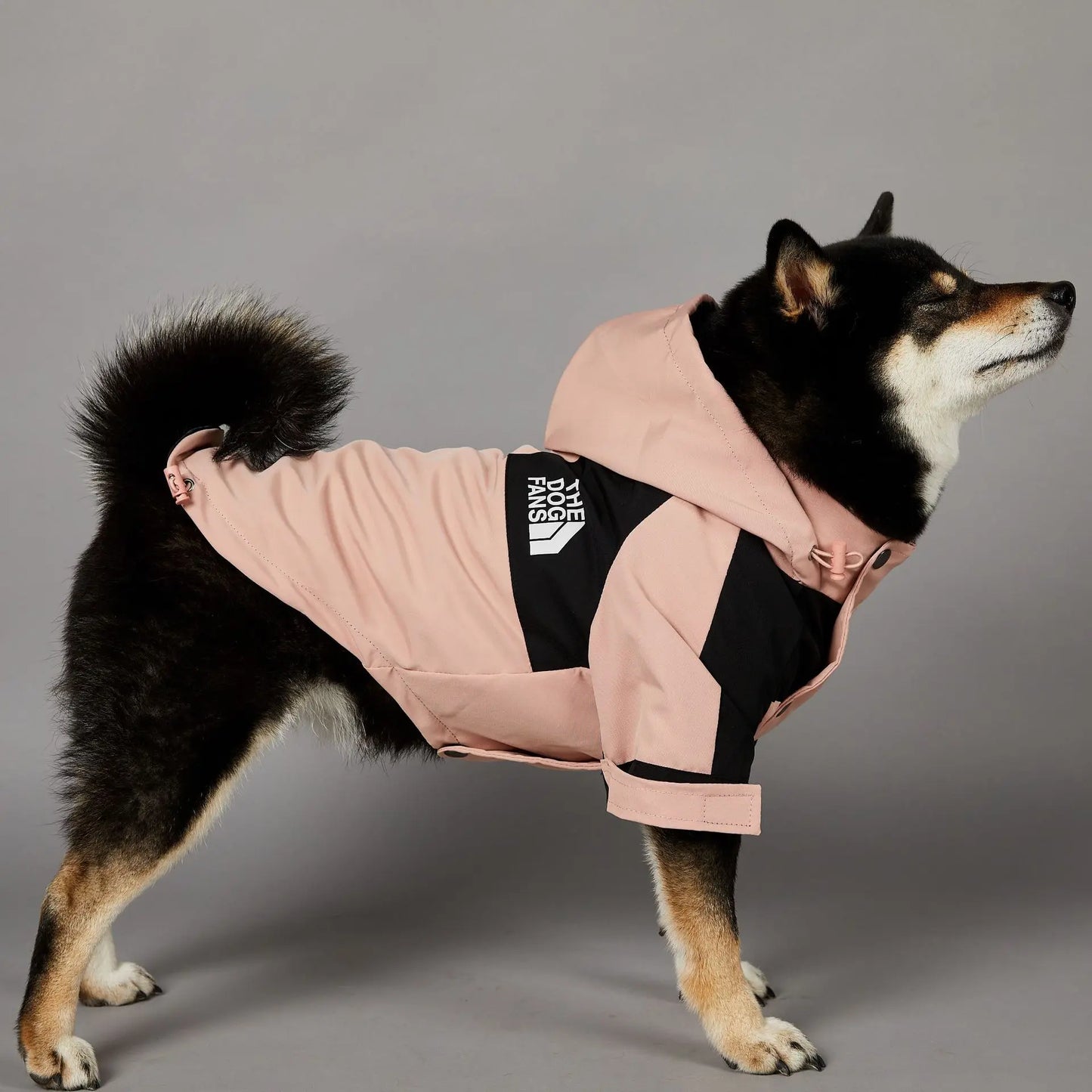 Rosa Cor Capa de Chuva para Cães com Capuz Impermeável