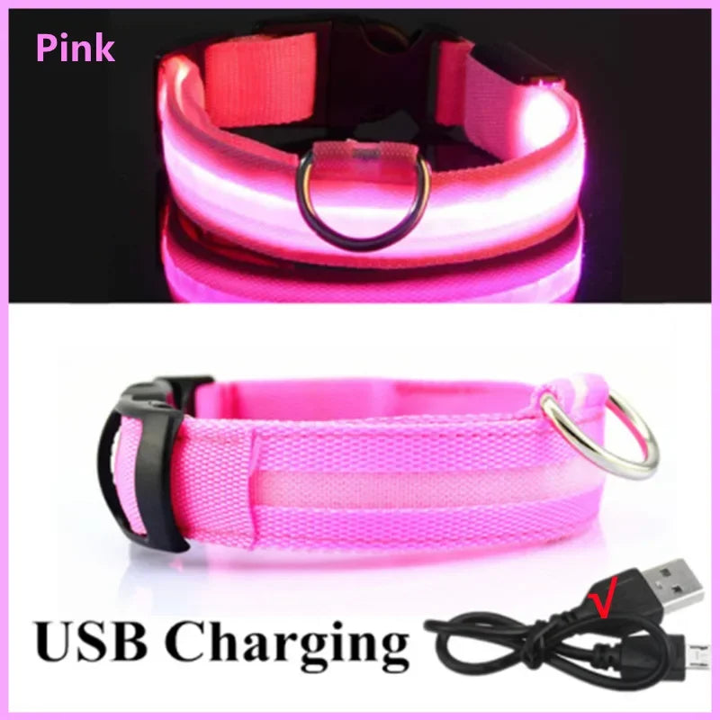 Carregamento USB Rosa Cor Coleira LED Recarga USB para Cães Antiperda Noturna