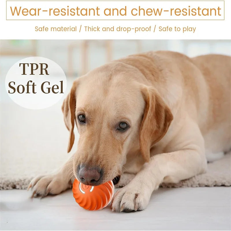 Interactive Smart Jumping Pet Ball – USB Rechargeable
