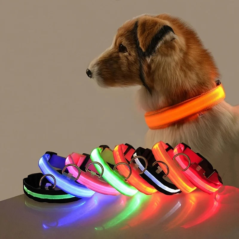 LED Light-Up Dog Collar – Nylon Night Safety Collar