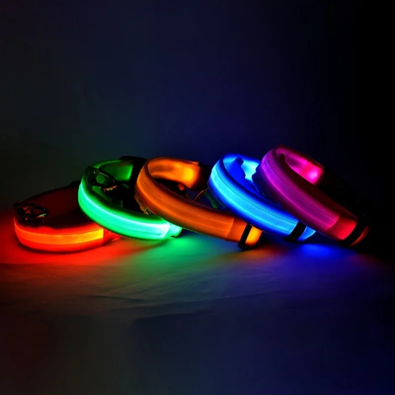 LED Light-Up Dog Collar – Nylon Night Safety Collar