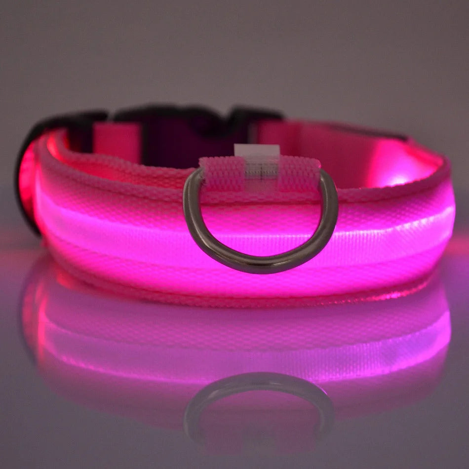 LED Light-Up Dog Collar – Nylon Night Safety Collar