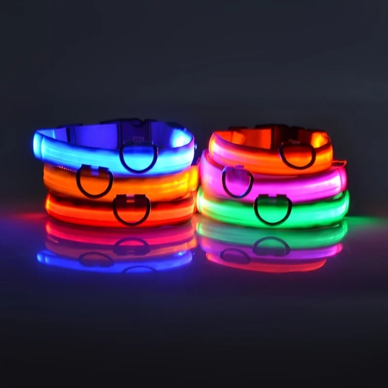 LED Light-Up Dog Collar – Nylon Night Safety Collar