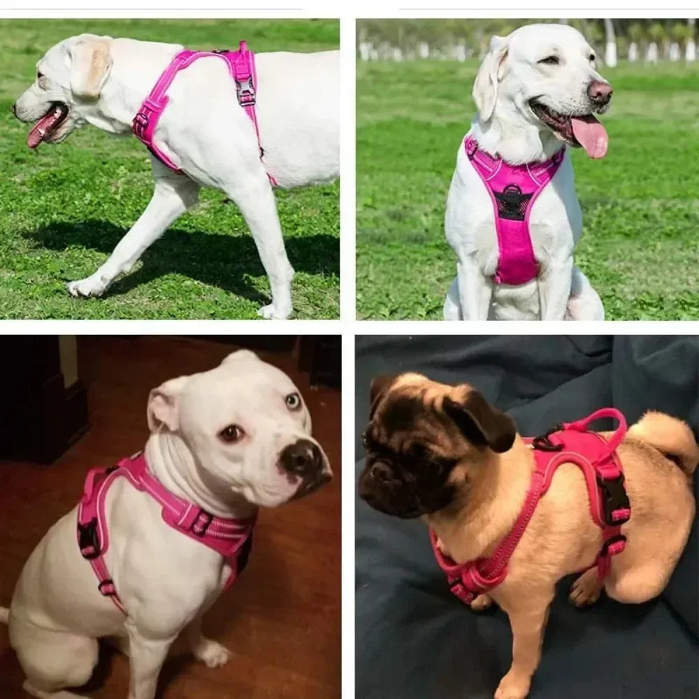 Reflective Adjustable Dog Harness Vest – Breathable Nylon