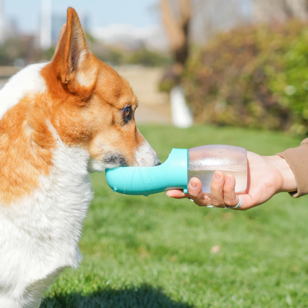 Portable Dog Water Bottle 300 ml For Outdoor Travel