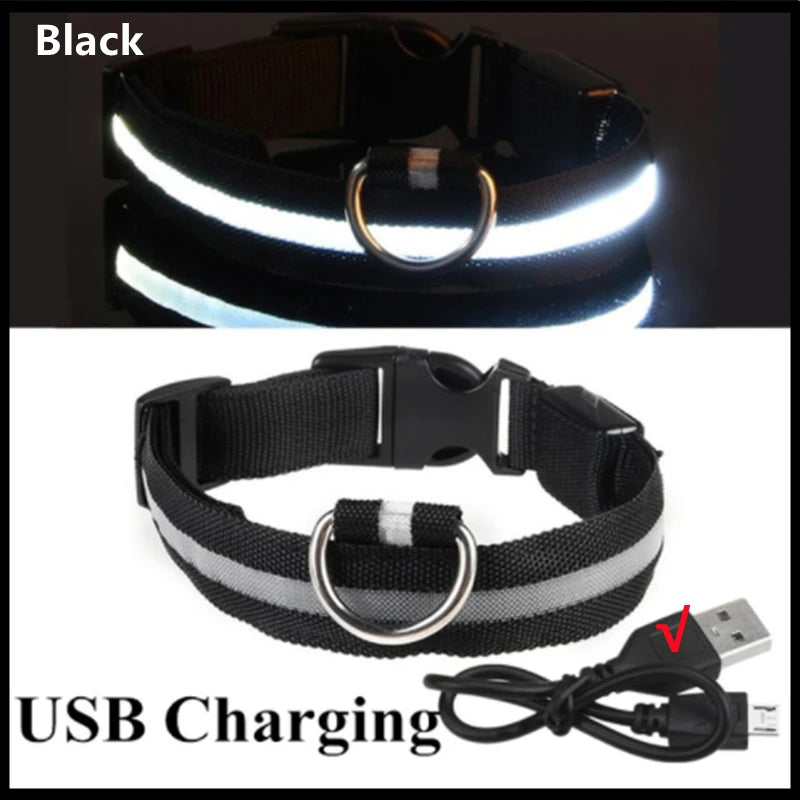 Carregamento USB Preto Cor Coleira LED Recarga USB para Cães Antiperda Noturna