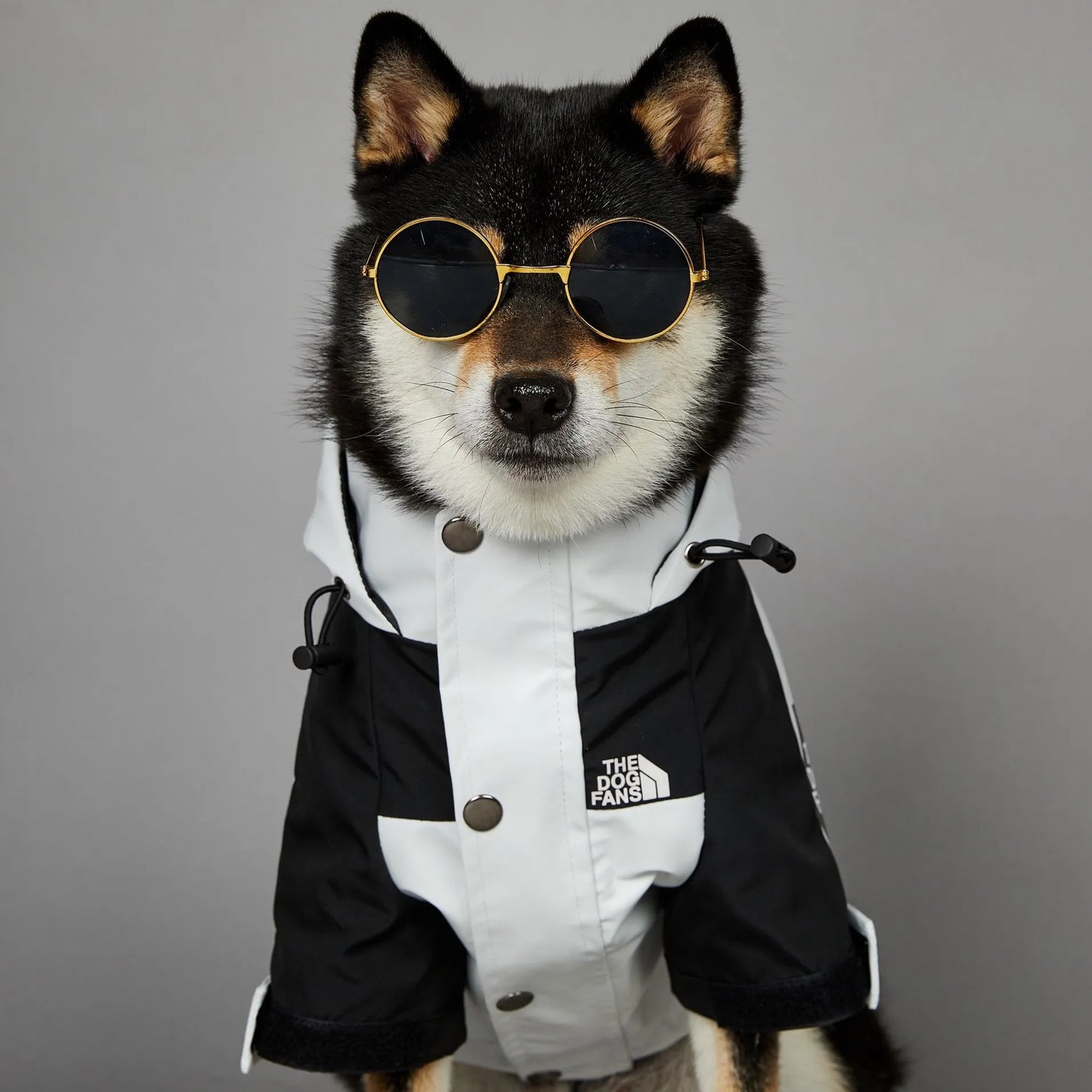 Capa de Chuva para Cães com Capuz Impermeável