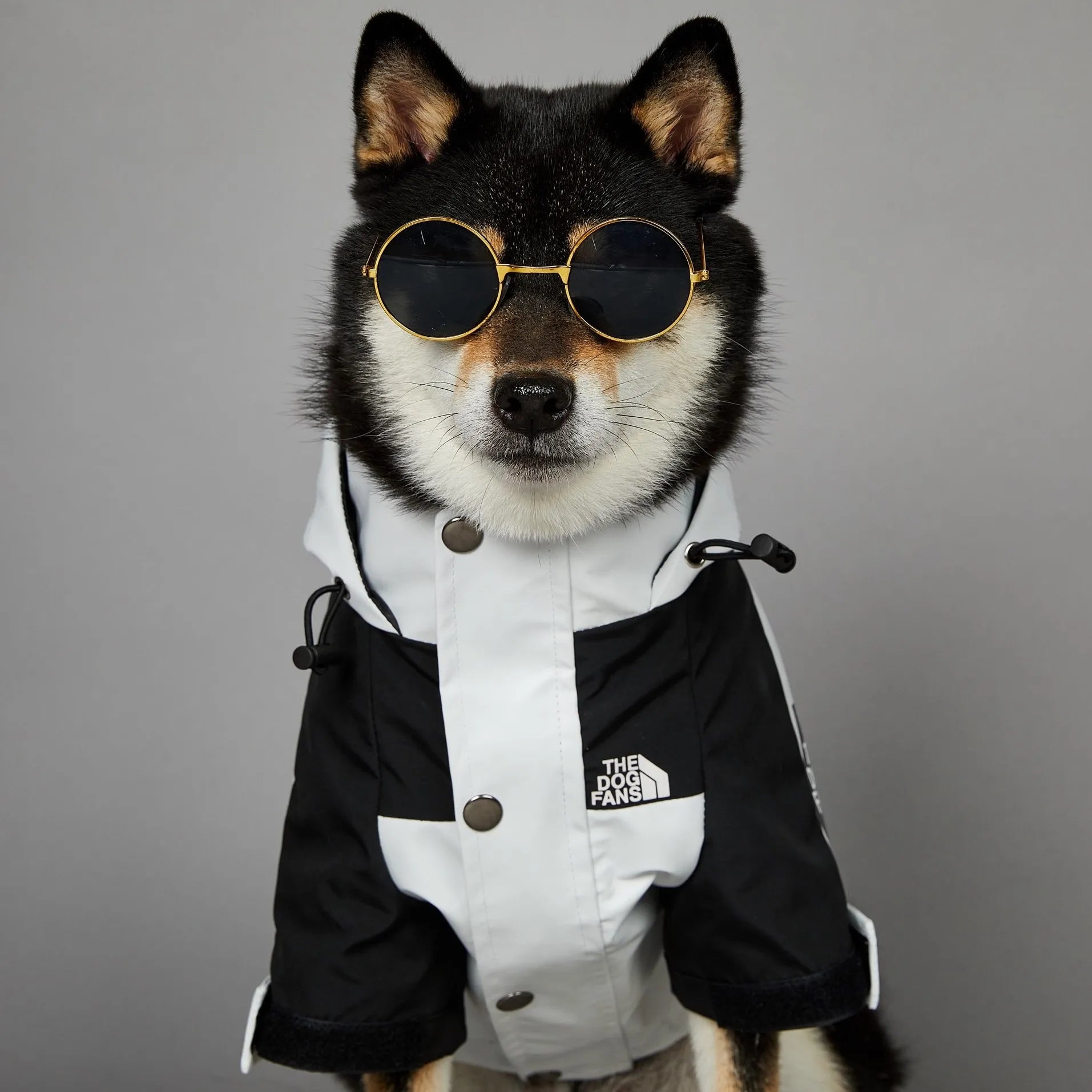Capa de Chuva para Cães com Capuz Impermeável