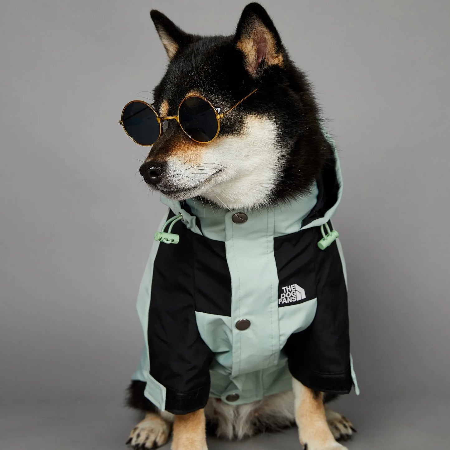 verde Cor Capa de Chuva para Cães com Capuz Impermeável