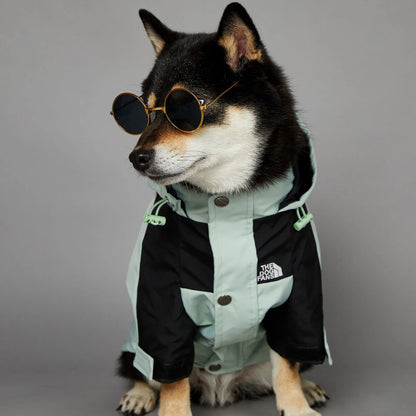 verde Cor Capa de Chuva para Cães com Capuz Impermeável