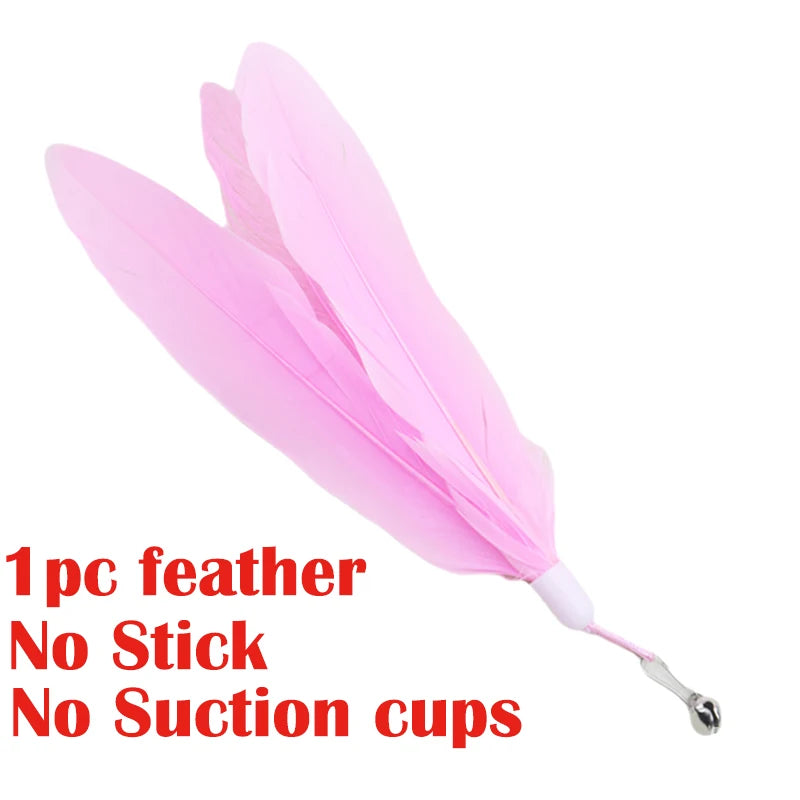 Pink Feathers Color Interactive Feather Cat Wand Toy With Suction Cup