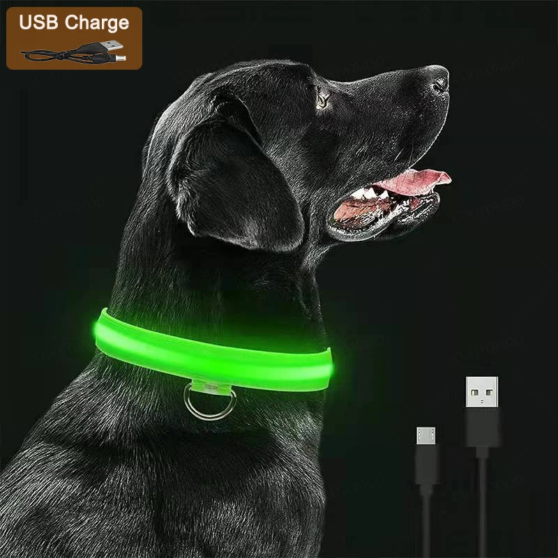 Coleira LED Recarga USB para Cães Antiperda Noturna