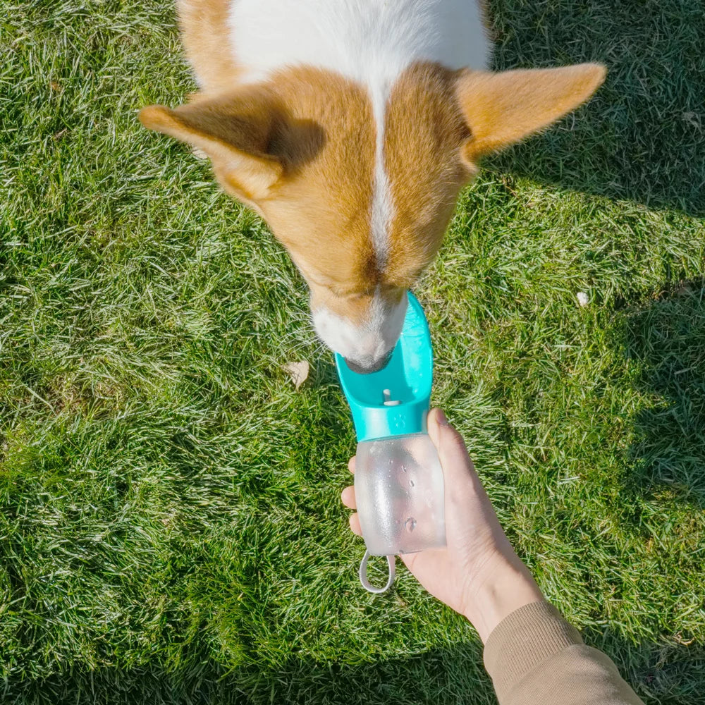 Portable Dog Water Bottle 300 ml For Outdoor Travel